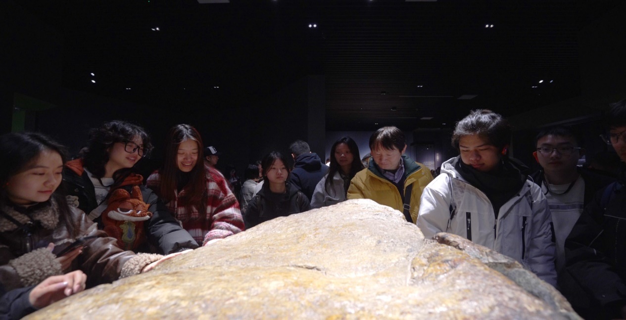 美狮贵宾ms092021官网