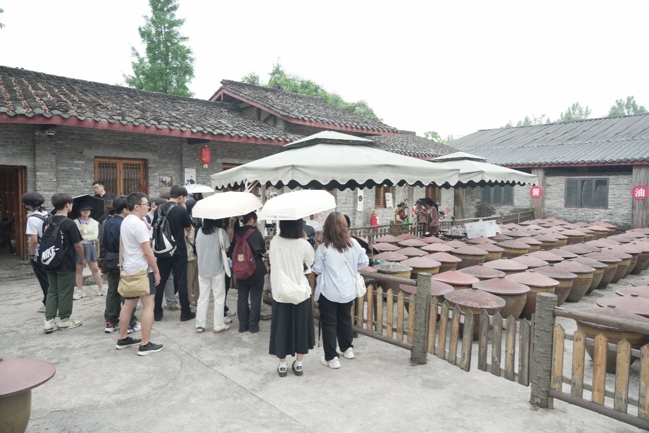 美狮贵宾ms092021官网